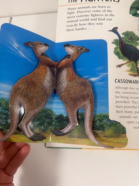 Pop up 3d kniha exreme animals,