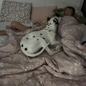 Dnes budeme spať asi v detskej 🤭