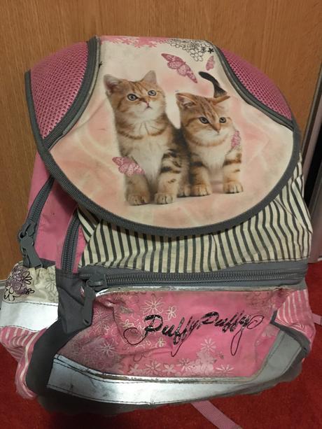 Školská taska mačičky, 