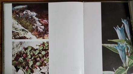 Kvety a hory - oldřich staněk, 