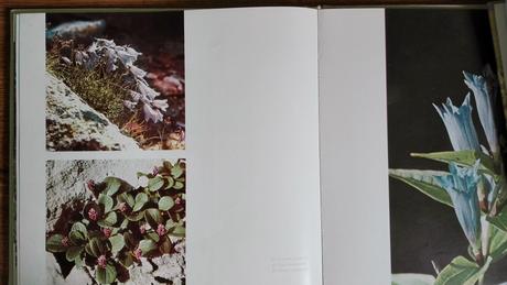 Kvety a hory - oldřich staněk, 