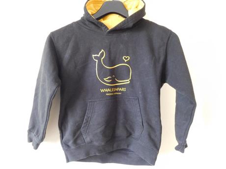 Chlapčenska mikina, 128