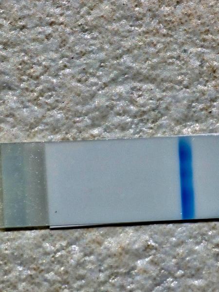 Vidíte niečo na teste Clearblue?