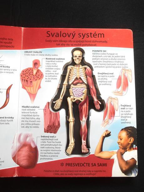 Kniha pozrite sa, ako vnútri vyzerá - ľudské telo,