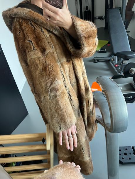 Kozuch liska bratislava, s