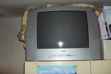 Televizor orava, orava