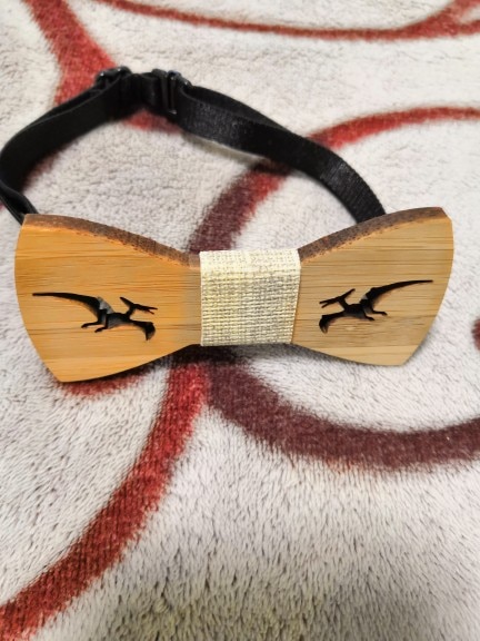 Drevený detský motýlik dinosaurus - viac druhov, 