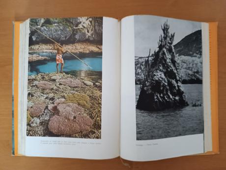 Charles darwin - cesta okolo sveta (1960), 