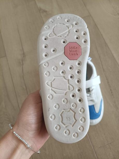 Little blue lamb 32, little blue lamb,32