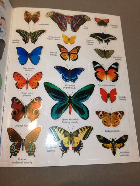 Flying stickers - butterflies and moths nau22, 
