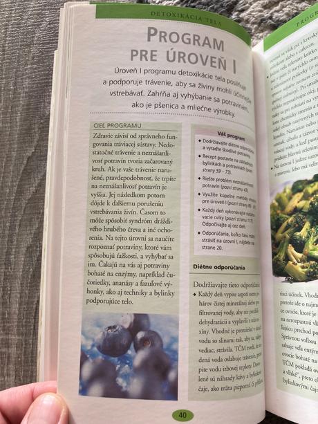 Detoxikácia (2004),