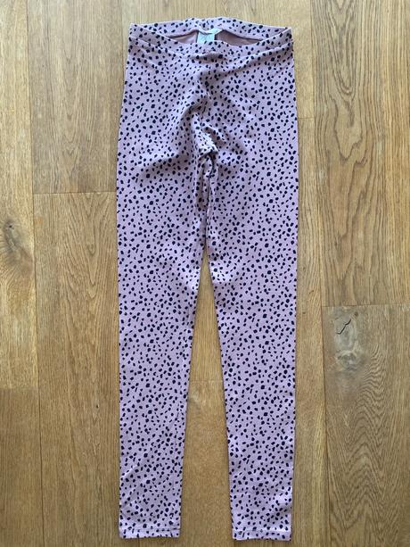 Leginy zara, zara,146