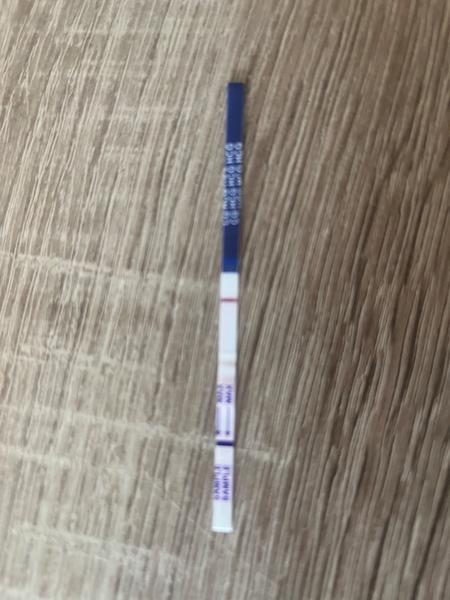 Môžem veriť testu?