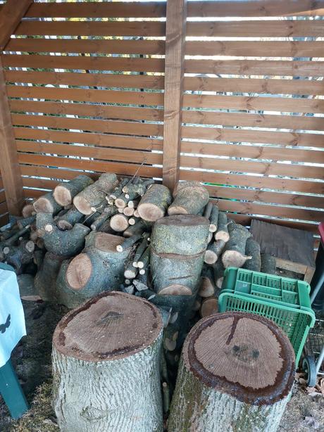 Palivové orechové drevo, 