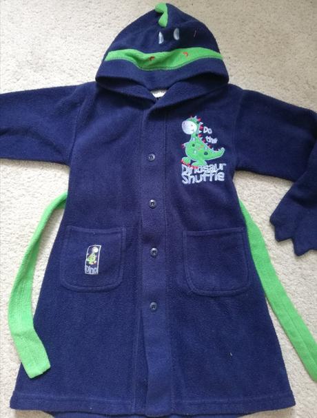 Župan dinosaurus, ladybird,98