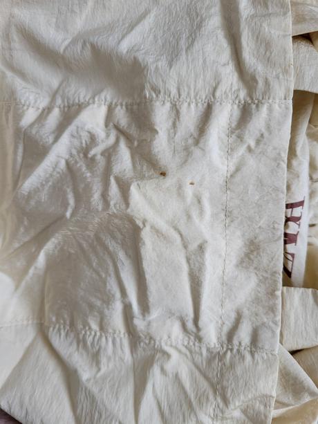 Prechodna tenšia vetrovka, zara,128