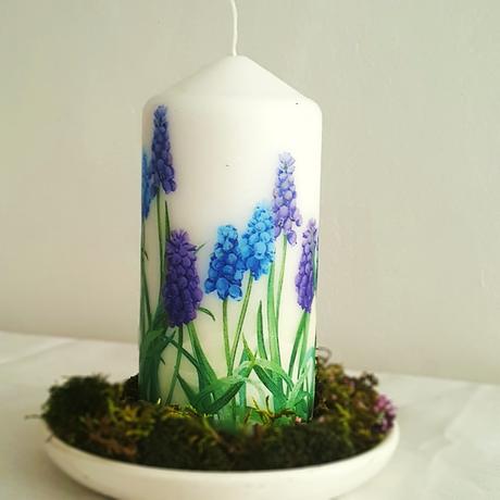 Jarná sviečka "modricový záhon", 
