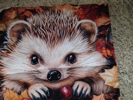 Obliečka na vankúš 45x45cm, šírka (cm): 45,dĺžka (cm): 40