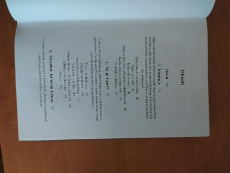 Veľký tresk - po stopách života vo vesmíre,