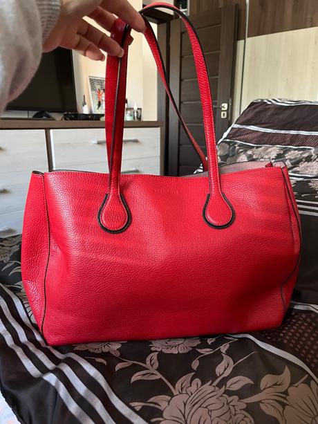 Coccinelle, coccinelle