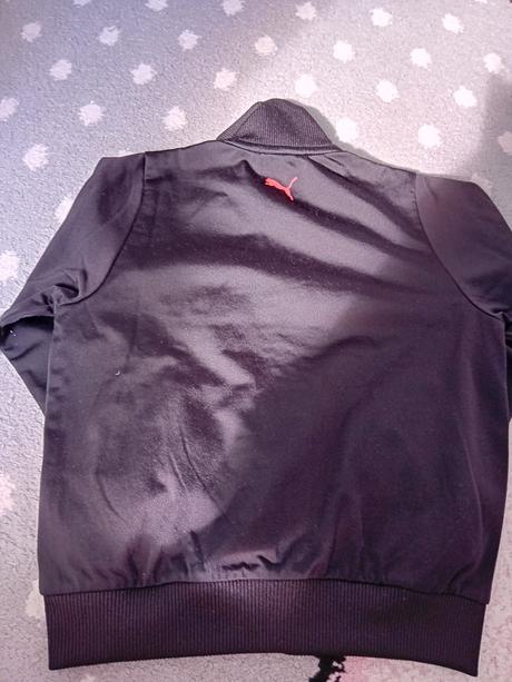 Mikina, puma,116