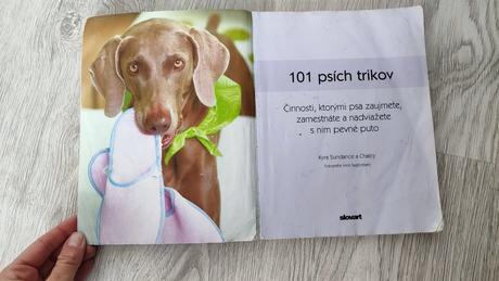 101 psích trikov, 
