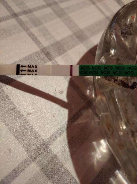 Som, či nie som tehotná?