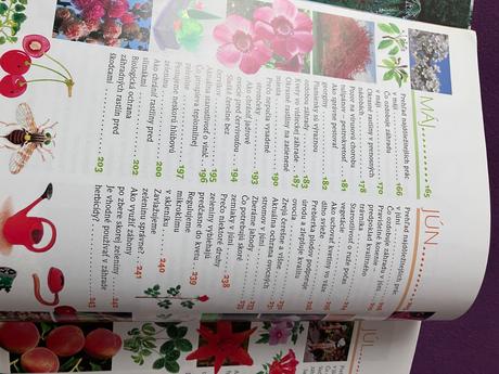 Rok v našej záhrade, 