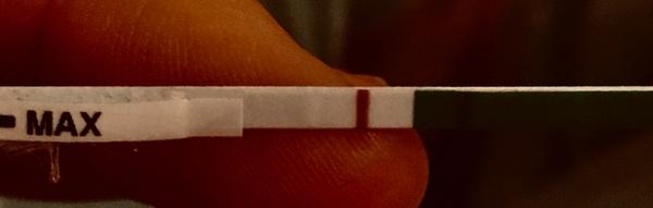 Som 11 dní po ovulácii. Je toto tehotenstvo?