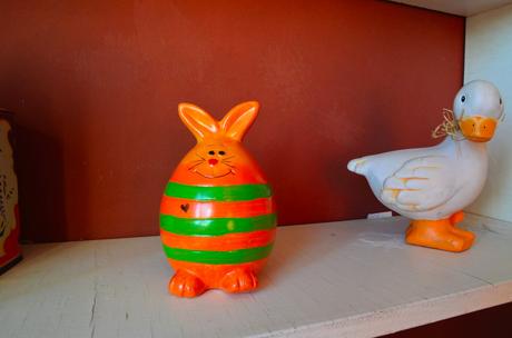 Pokladníčka zajko, 