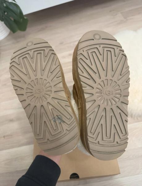 Ugg tazzlita, ugg,38