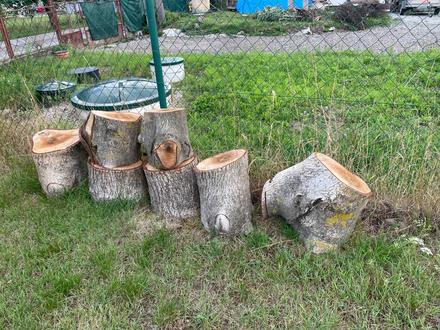 Čerešňové a orechové drevo, 