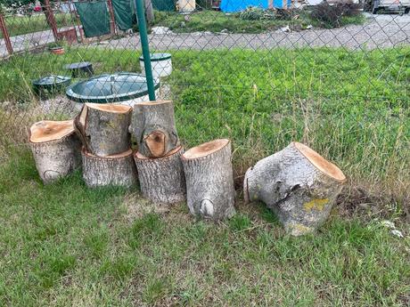 Čerešňové a orechové drevo,