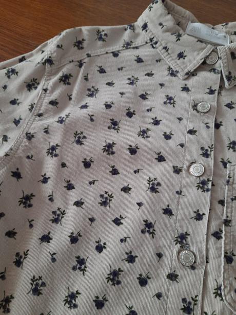 Súprava zara, zara,152