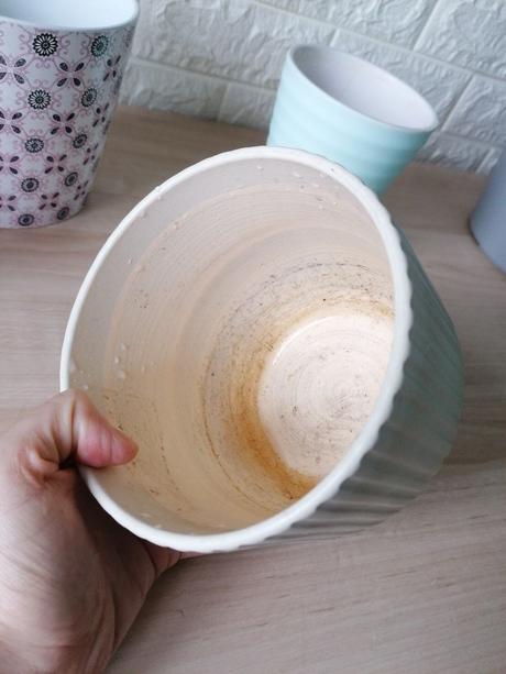 Kvetináč / kochlík na izbové rastliny, 