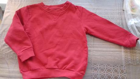 Teplejsia mikinka, 110