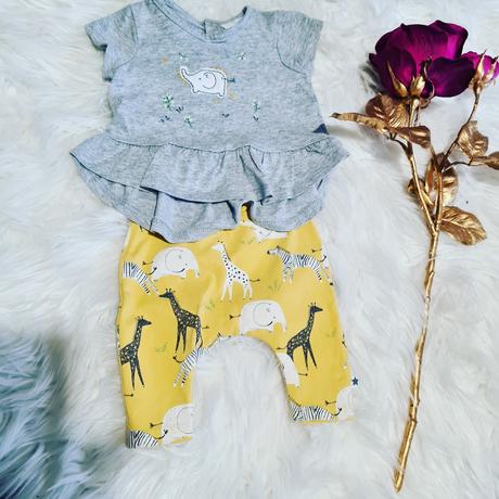 Next safari set, next,56