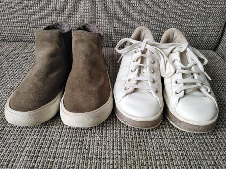 Poltopánky v. 31, 31