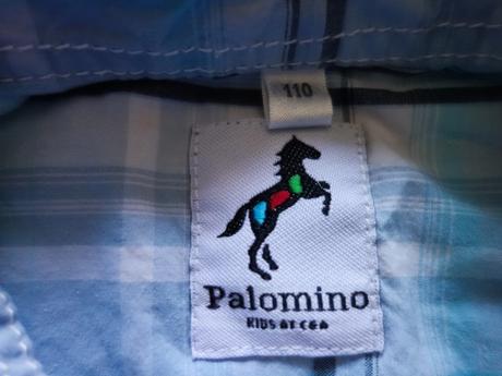 Košela palomino, palomino,110