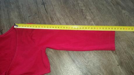 Bolerko, st. bernard,92