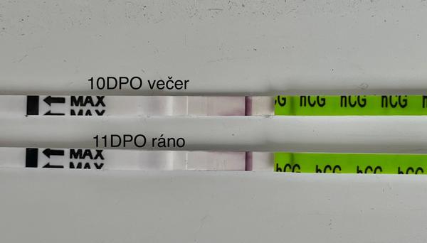 Slabý duch na teste