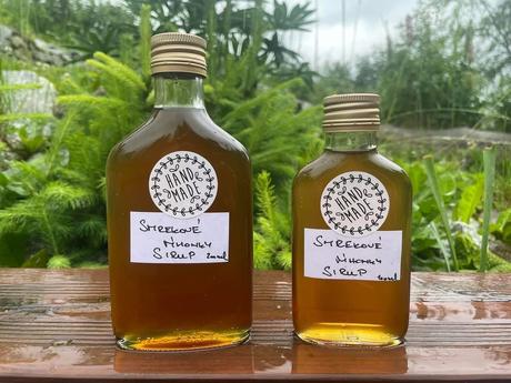 Smrekovy sirup z výhonkov, 