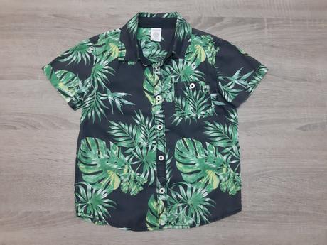 Kosela lindex, lindex,116