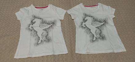 Tričká pre dvojičky, 110