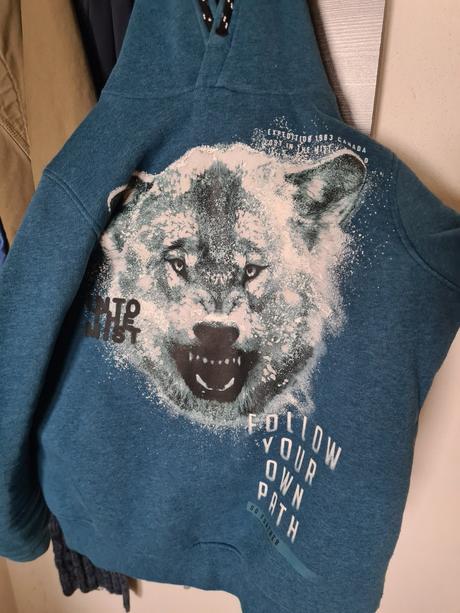 Malo nosena mikina, c&a,158