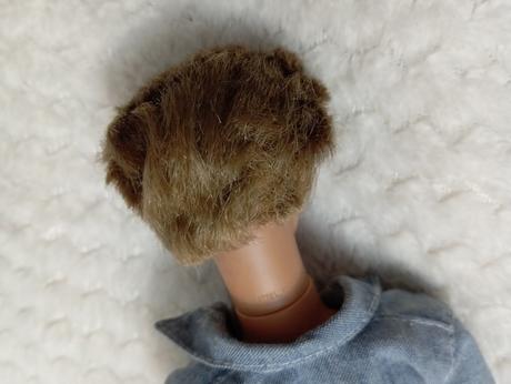 Barbie my scene chlapci ken, 