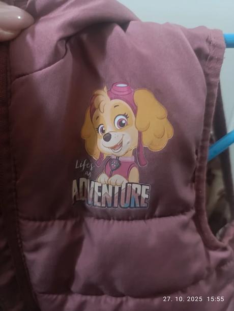 Vesta paw patrol, 104