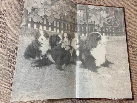 Atlas psů daniela pavlovská-kuntová vladimír dolež,