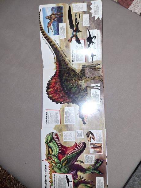 Úžasné dinosaury- kniha, 