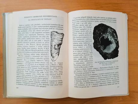 Vznik a výskyt nerastov (1954),
